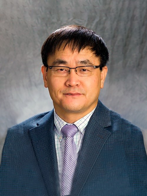 Prof. Hong Yang